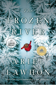 bookcover The frozen river