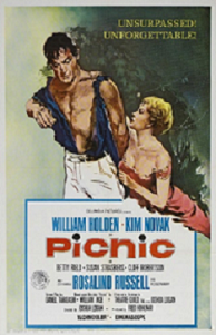 Picnic movie cover