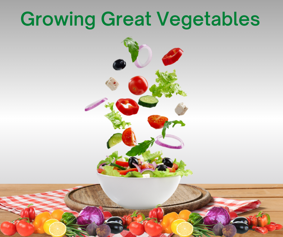 Graden salad in a owl surrounded by a variety of vegetables on a picnic table